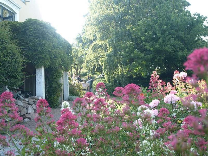 Bed and Breakfast Danchelshus Allinge-Sandvig Zewnętrze zdjęcie